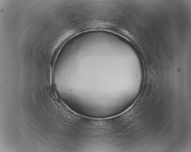 X0000056031219200509021813