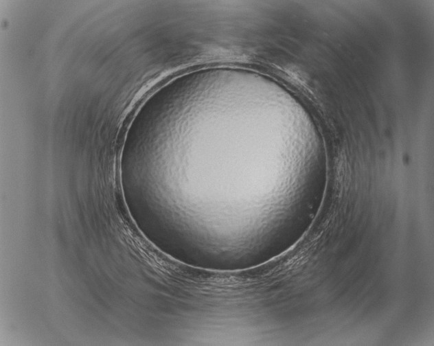 X0000056031220200509021813