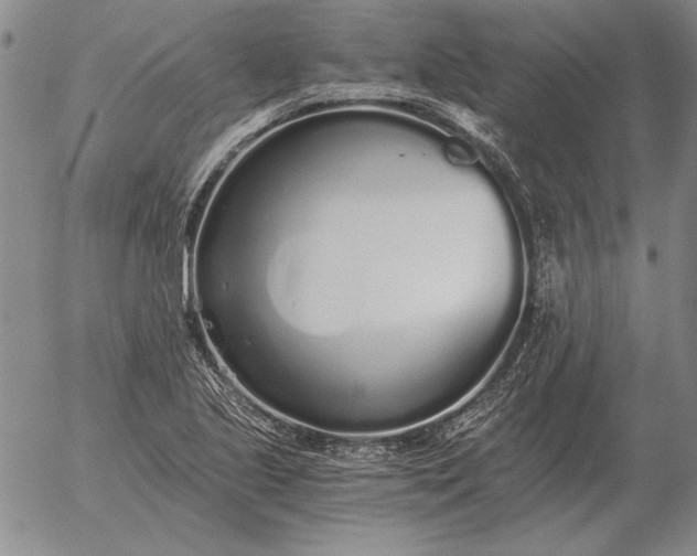 X0000056031221200509021813