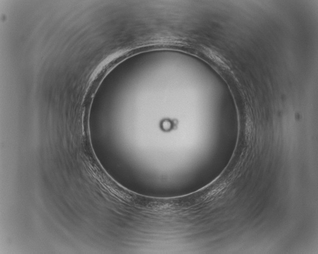 X0000056031222200509021813