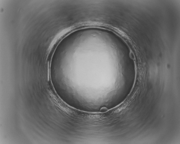 X0000056031223200509021813