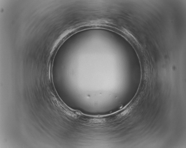 X0000056031224200509021813