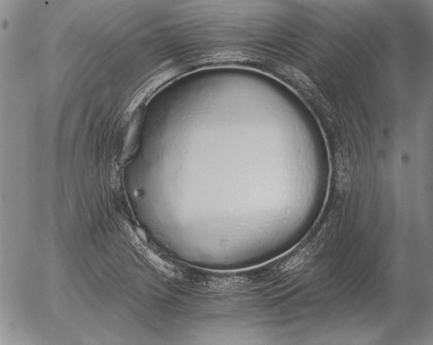 X0000056031225200509021813