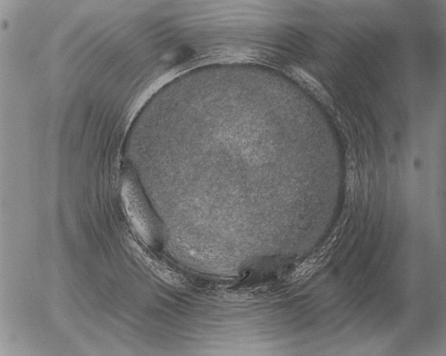 X0000056031226200509021813