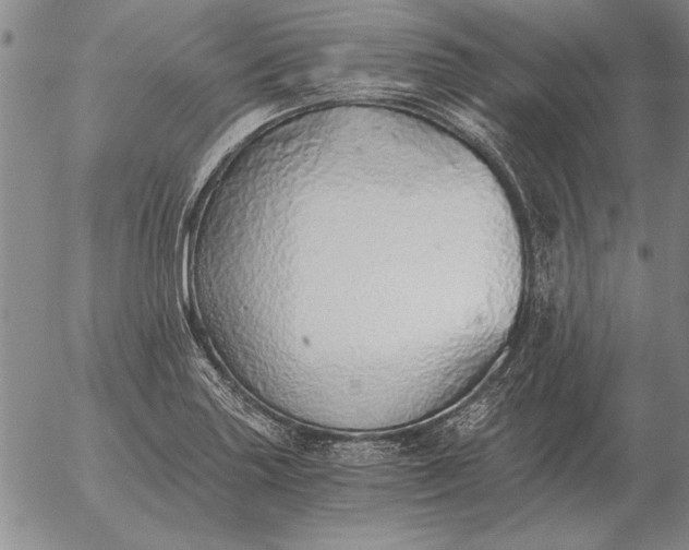 X0000056031227200509021813