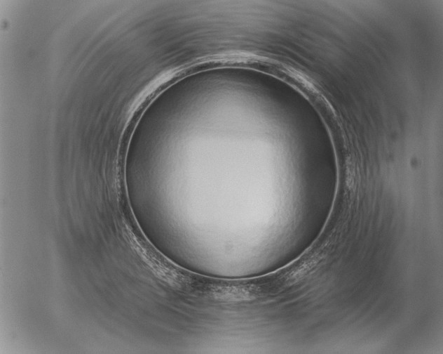 X0000056031229200509021813