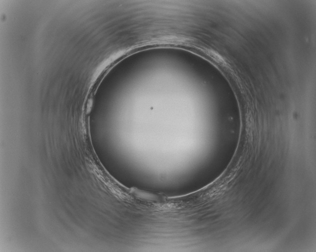 X0000056031230200509021813