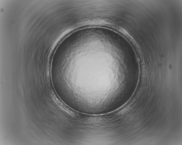 X0000056031232200509021813