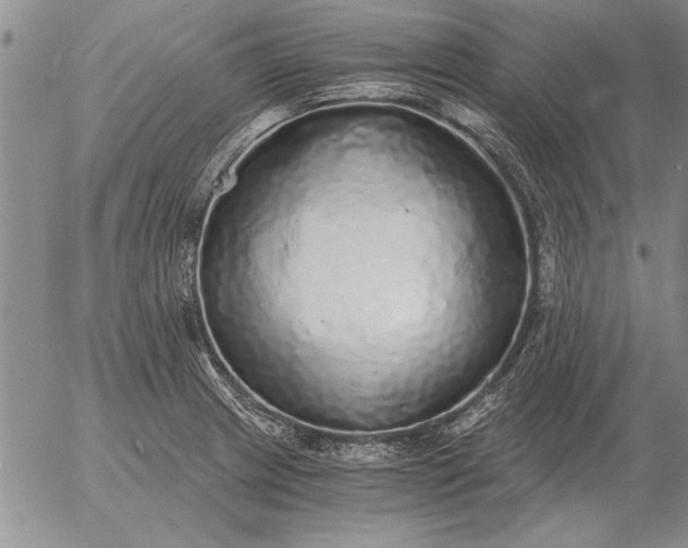 X0000056031233200509021813