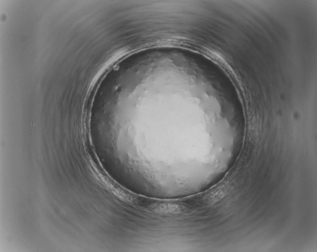 X0000056031235200509021813