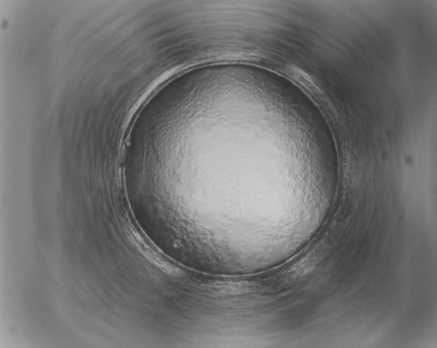 X0000056031236200509021813