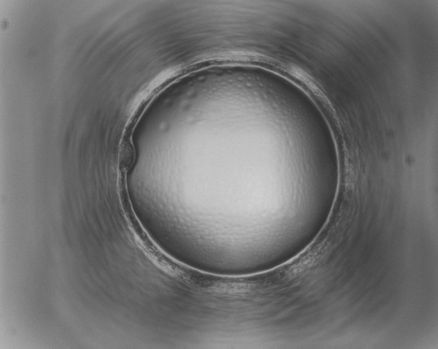 X0000056031237200509021813