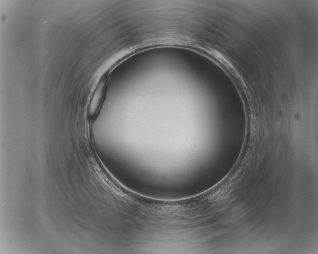 X0000056031238200509021813