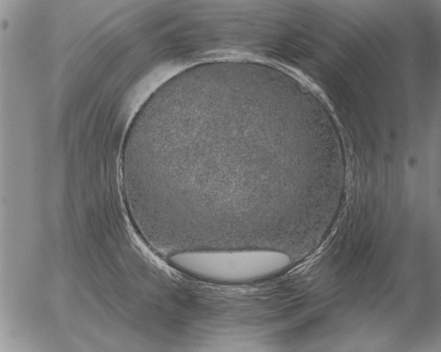 X0000056031239200509021813