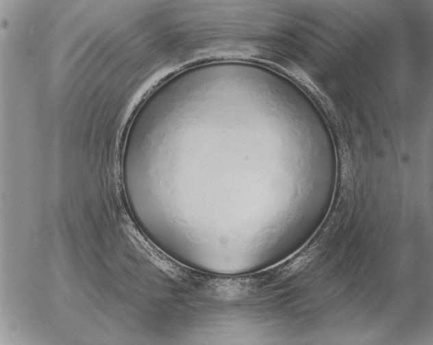 X0000056031240200509021813