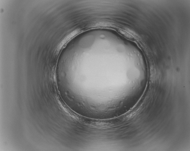 X0000056031241200509021813