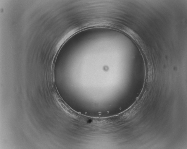 X0000056031242200509021813