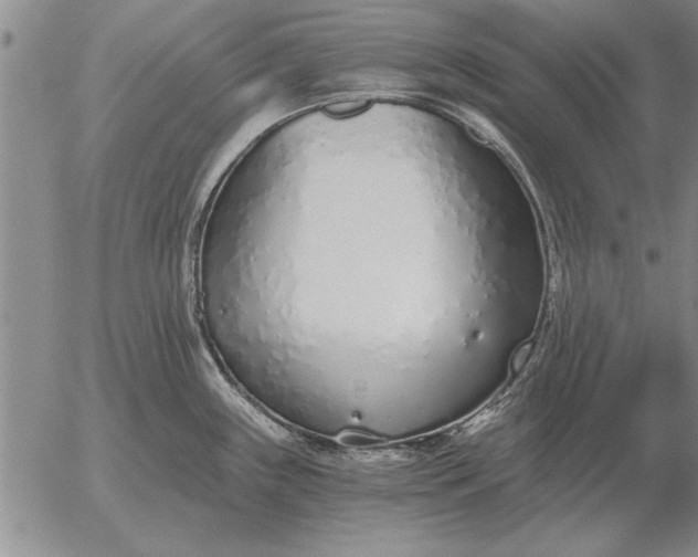 X0000056031243200509021813