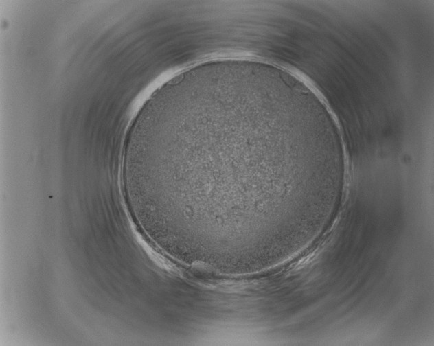 X0000056031245200509021813