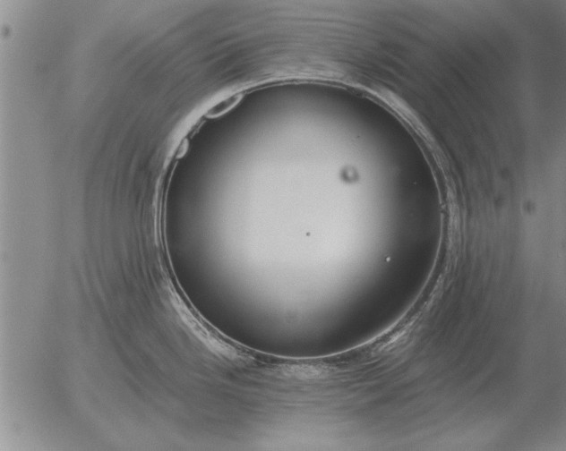 X0000056031246200509021813