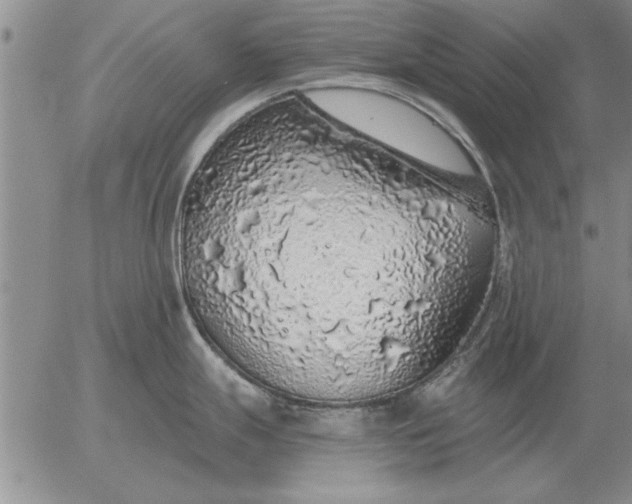 X0000056031247200509021813