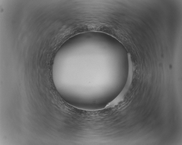 X0000056031249200509021813