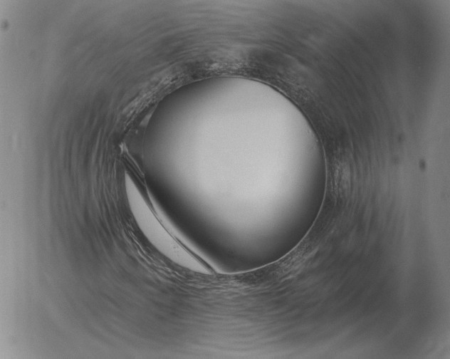 X0000056031250200509021813