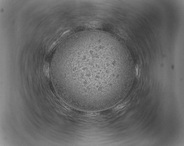 X0000056031251200509021813