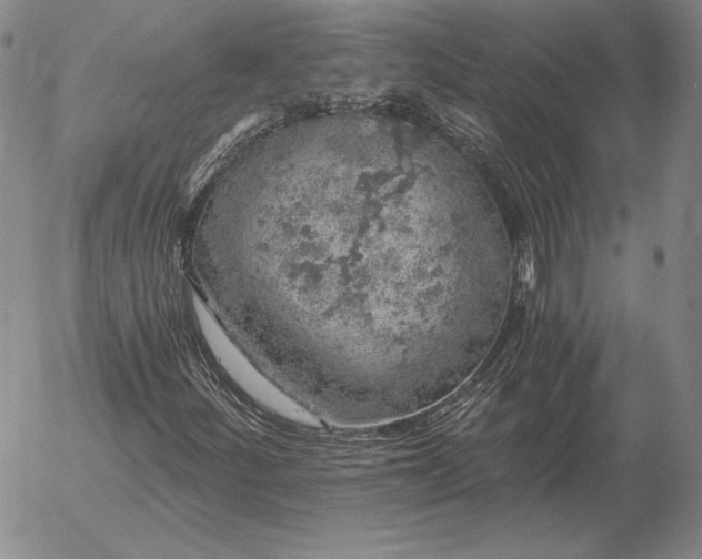 X0000056031252200509021813