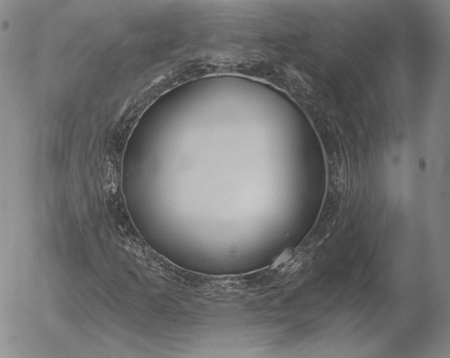 X0000056031253200509021813