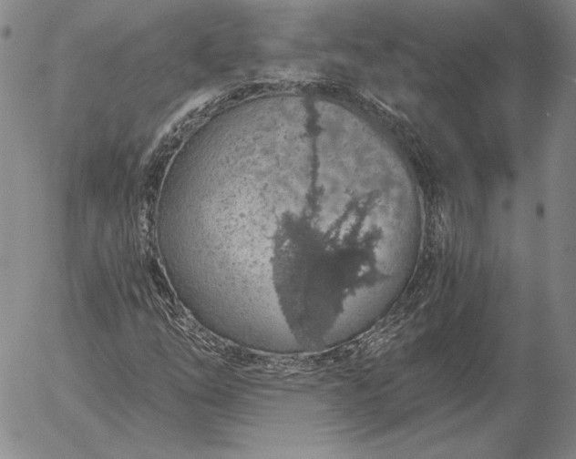 X0000056031254200509021813