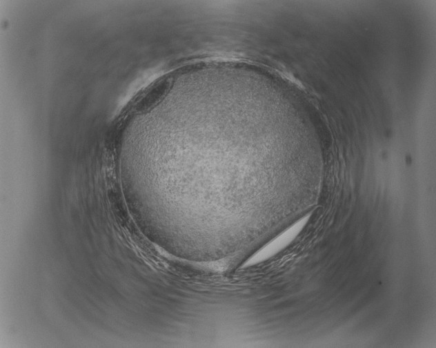 X0000056031255200509021813