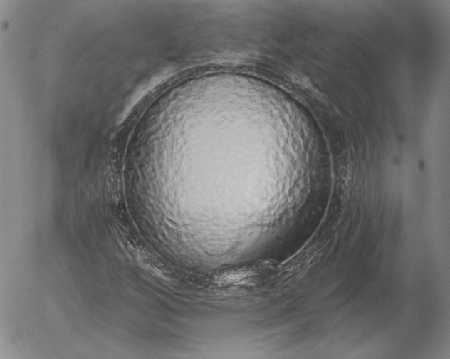 X0000056031256200509021813