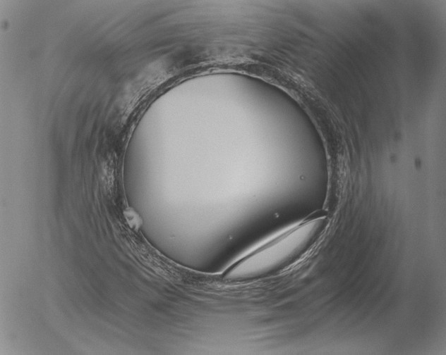 X0000056031257200509021812