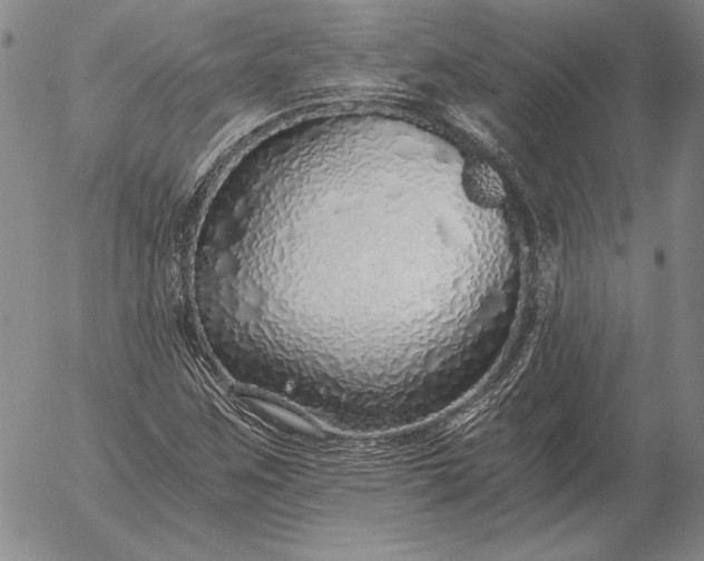 X0000056031259200509021812