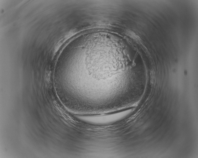 X0000056031260200509021812