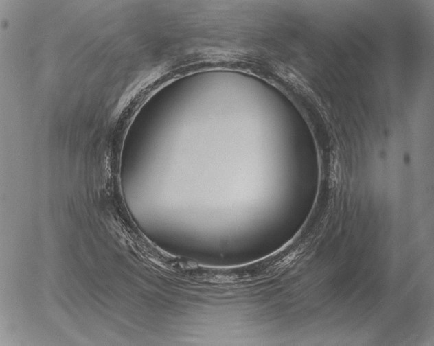 X0000056031261200509021812