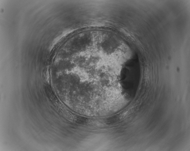 X0000056031262200509021812