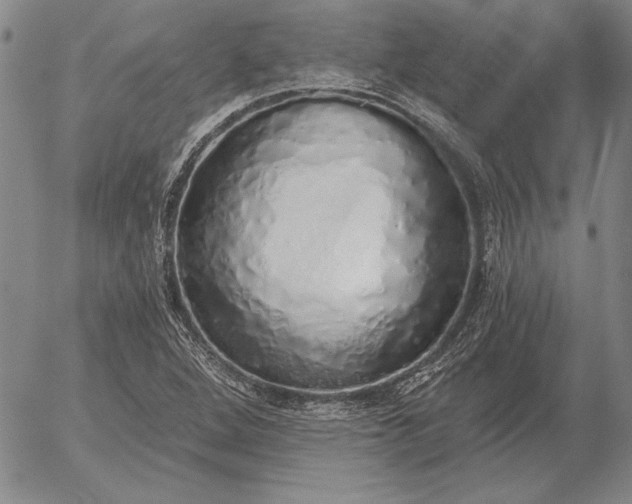 X0000056031264200509021812