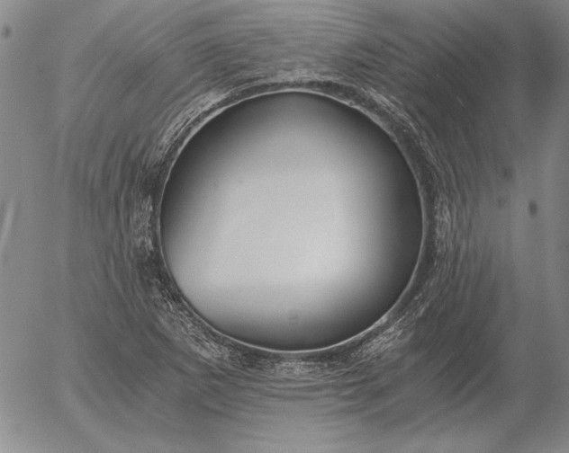 X0000056031265200509021812