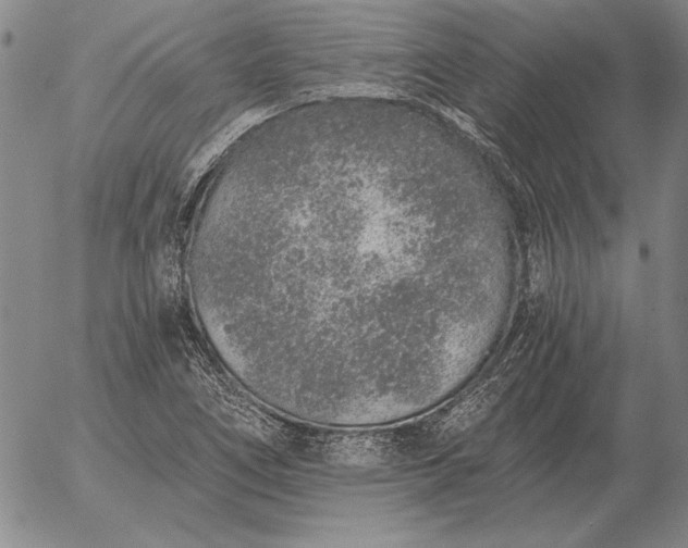 X0000056031266200509021812