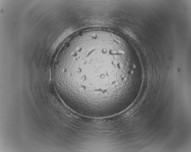 X0000056031267200509021812