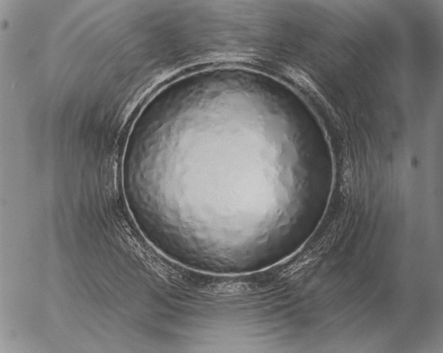 X0000056031268200509021812