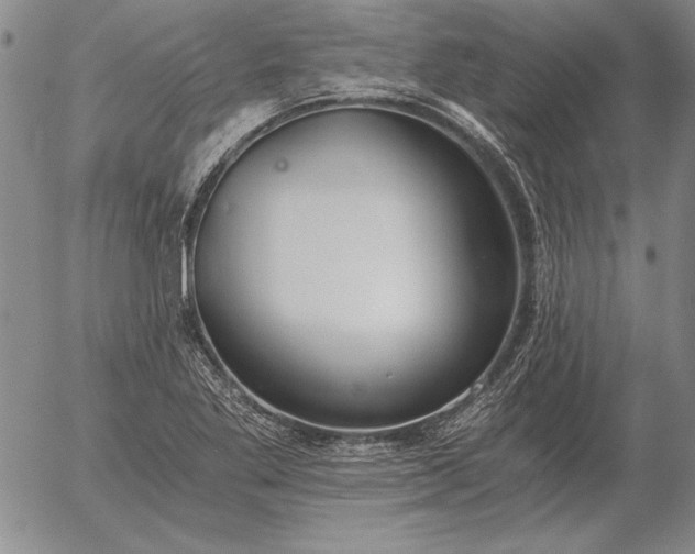 X0000056031269200509021812