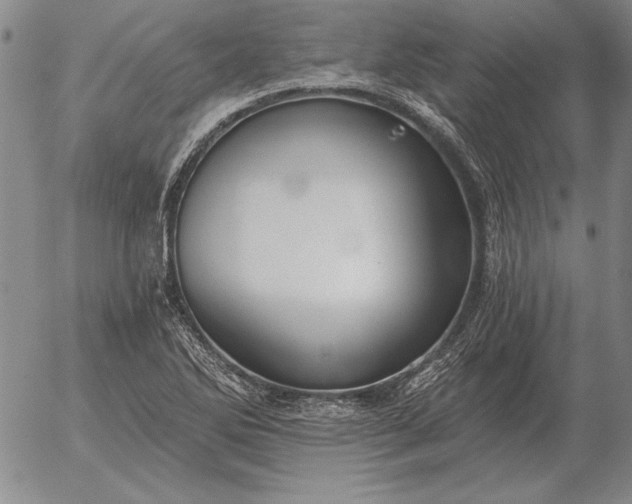 X0000056031270200509021812