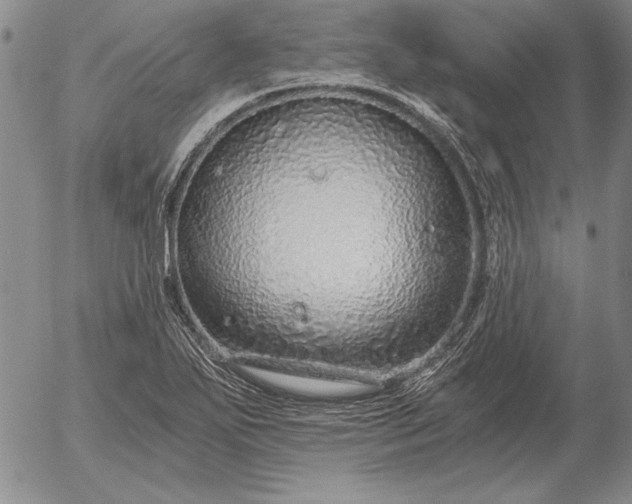 X0000056031271200509021812