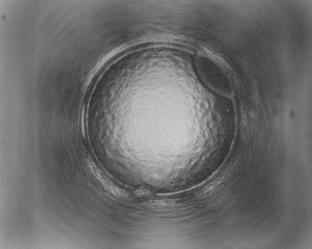 X0000056031272200509021812