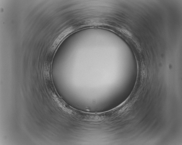 X0000056031273200509021812