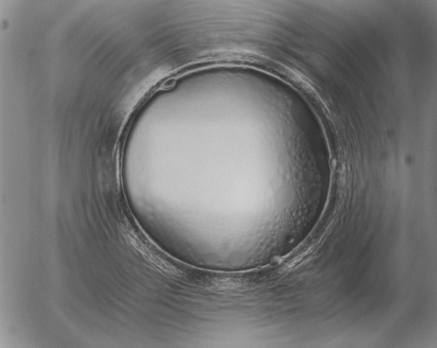 X0000056031275200509021812