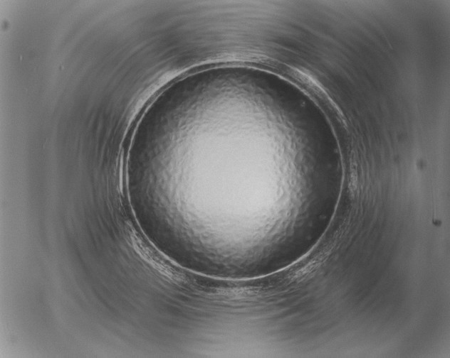 X0000056031276200509021812